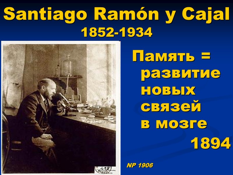 Santiago Ramón y Cajal  1852-1934 Память = развитие новых связей  в мозге